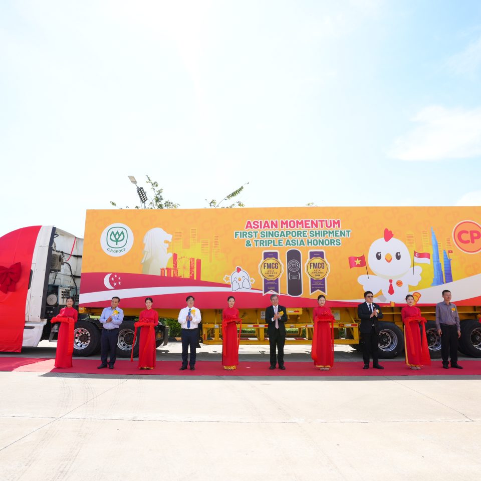 Dự Án 3 2PO07547